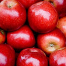 Royal Gala Apples local