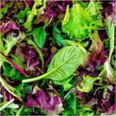 Salad pre-packs