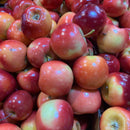 Missle Apples ($14.99 p/kg)