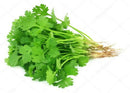 Coriander Bunch