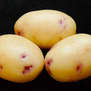 Kestrel Potatoes