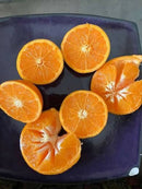 Imperial Mandarin (Red)