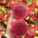 Dragon fruit