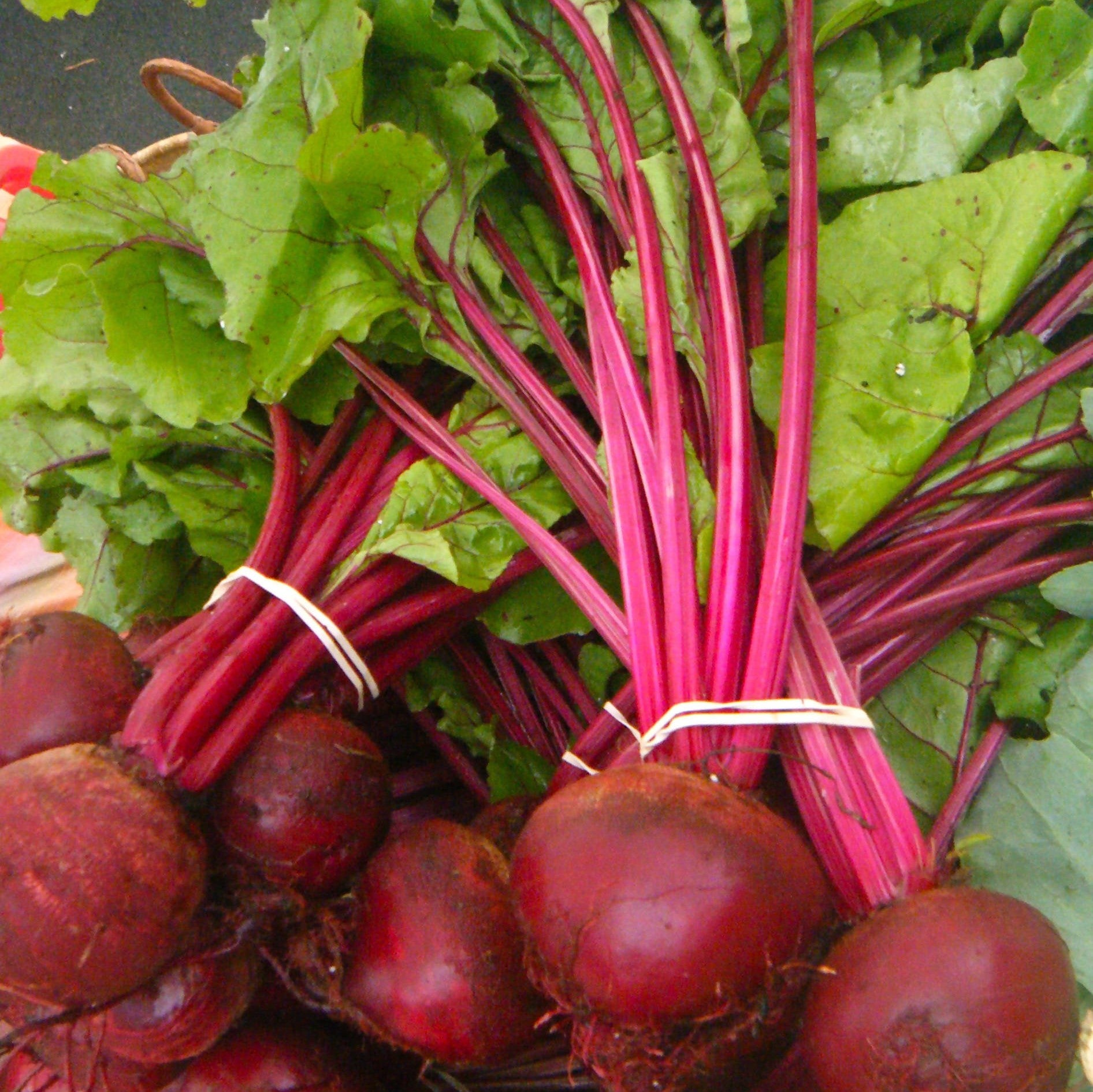 Beetroot ($4 per Bunch)