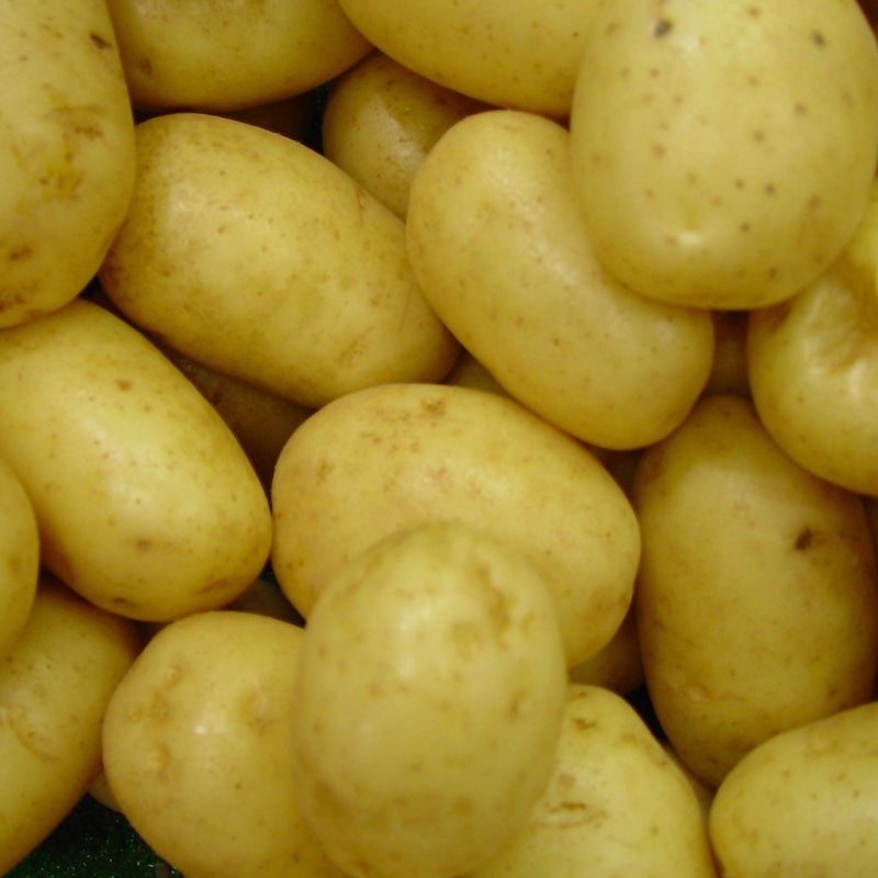 White Potatoes ($4.99 p/kg)