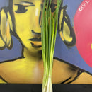 Spring Onion (bunch)