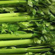 Celery(3.99p/ea)