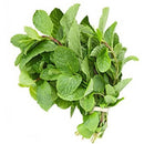 Mint ($2.50 per bunch)