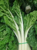 Silver Beet Bunch (Locally Grown)