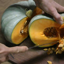 Pumpkin (Butternut or Japanese Kent)