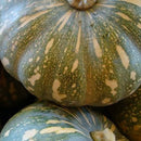 Japanese Pumpkin(3.50/kg)