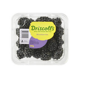 Blackberries pnt