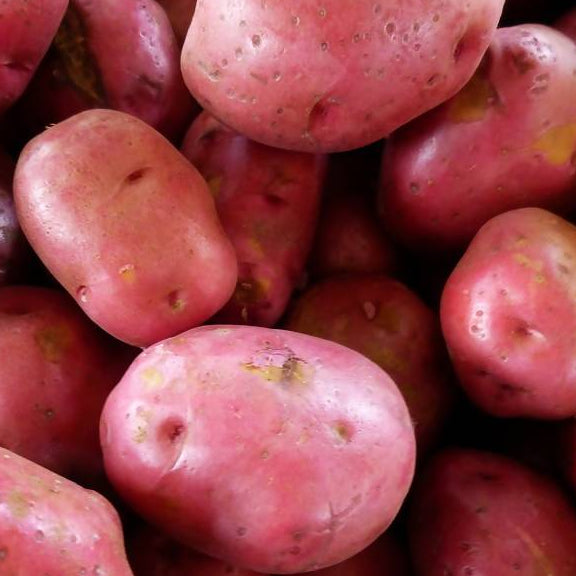 Desiree Potatoes ($4.99 p/kg)
