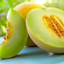 Honeydew Melon ($5.99p/kg)