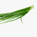 spring onion