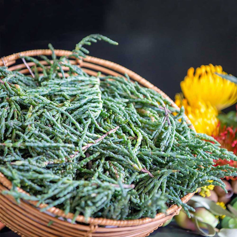 Samphire Punnet