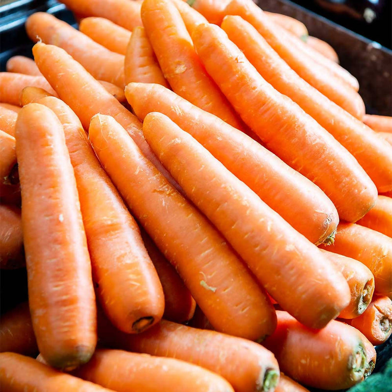 Premium Carrots ($2.49 p/kg)