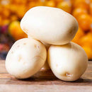 Premium White Potatoes