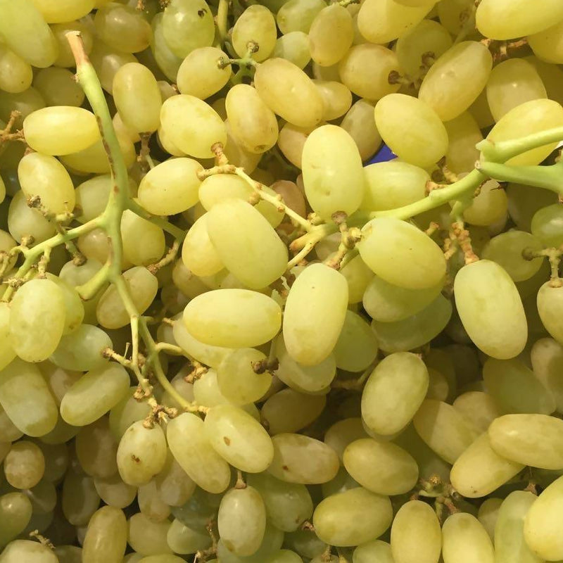 Grapes (Green) ($24.99 p/kg)