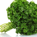 parsley curly locally grown