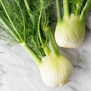 Fennel