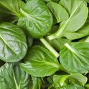 Baby Spinach Prepack 120g