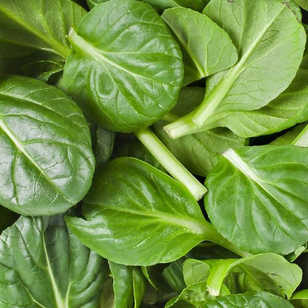 Baby Spinach Prepack 120g