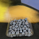 Blueberries (punnet)