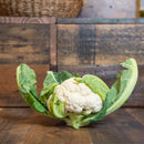 Cauliflower - Certified Organic