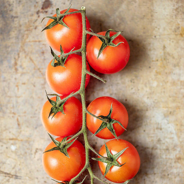 cherry truss tomatoes premium
