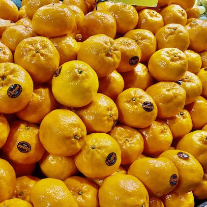 AUSTRALIAN MANDARIN