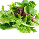 salad mix , wild rocket, baby spinach pre pack 100g