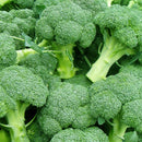 Broccoli ($9.99 p/kg)