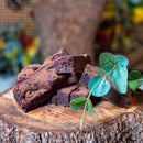 Belgian Chocolate Brownies with Raspberries
