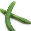 continental cucumber
