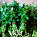 Coriander(2.00 p/bunch)