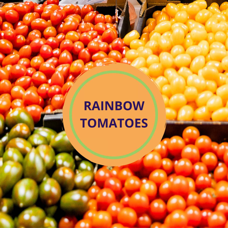 Rainbow Tomatoes