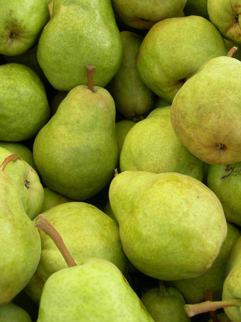 Pears ($4.99 p/kg)