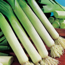Leek ($3/Each)