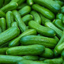 Baby Cucumber(13.99p/kg)