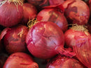 Red Onion ($6.99 p/kg)