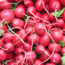 Red Radish(3.00p/bunch)