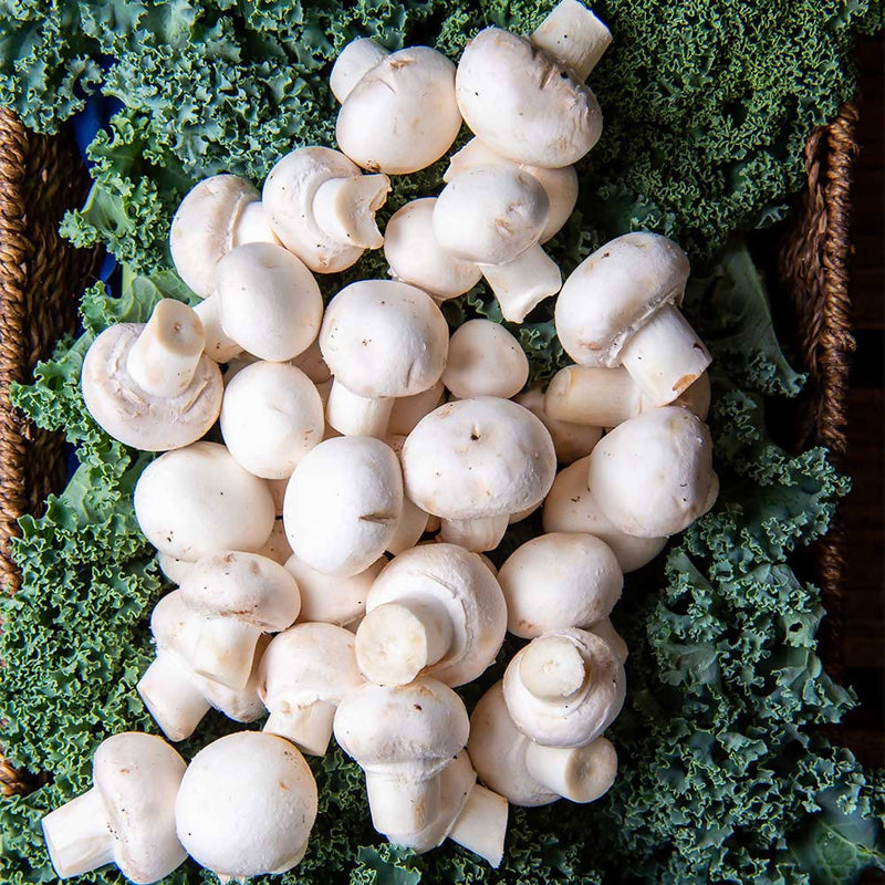 White Button Mushrooms (Small)