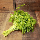 Parsley - Certified Organic