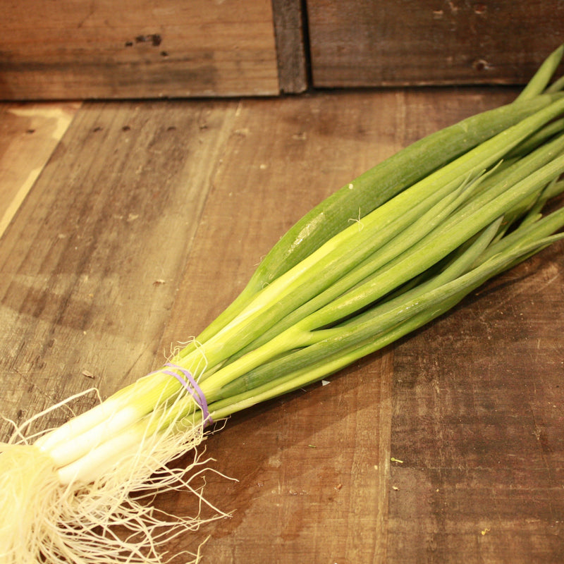 Spring Onion - Bunch - Certified Organic