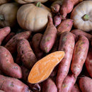 Sweet Potato (6.50p/kg)