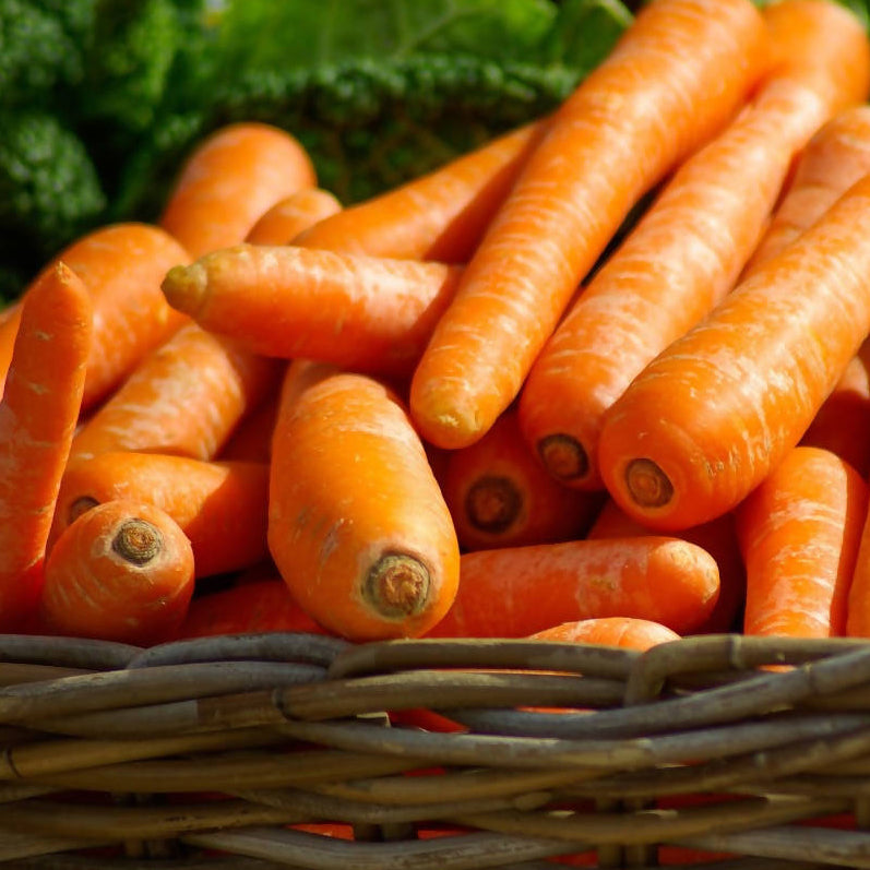 Carrots jack rabbit premium ($2.99) per kg
