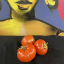 Tomatoes with stem (per kilogram)