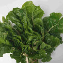 Spinach Bunch (Locally Grown)