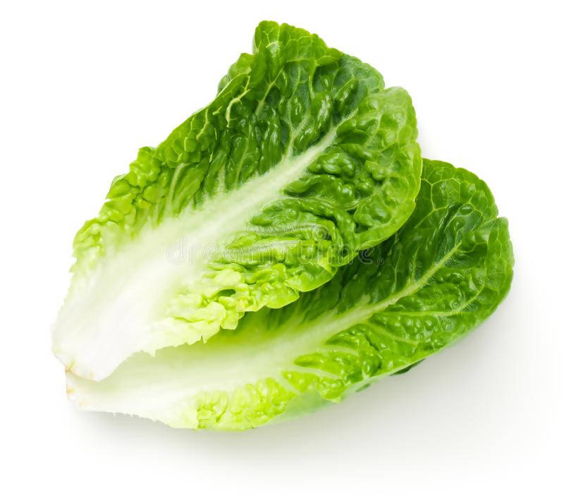 baby cos lettuce twin pack